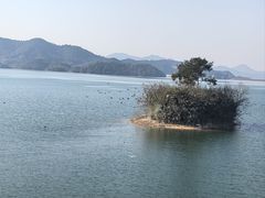 -四明湖