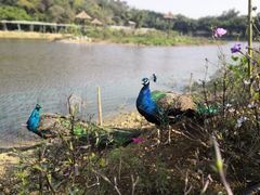 -李小龙乐园(顺德均安店)