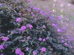 -福州大学(旗山校区)