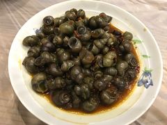 -老品芳