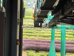 -天目湖御水温泉·度假酒店