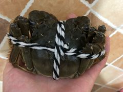 -阳澄湖大闸蟹·琼灵阁牌品牌连锁(吴中总店)