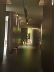 -VELEE·SPA高定疗愈会所