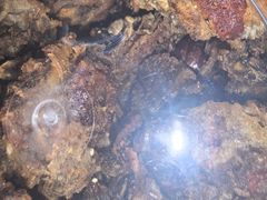 -柴米油盐(土菜院子店)