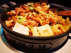 -蛙宝厨