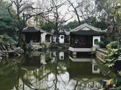 -秋霞圃