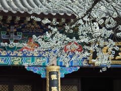 -护国法轮寺