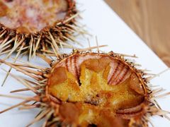 -海胆小馆(东北水饺·春柳店)