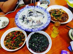 -全乐鱼馆·淳牌有机鱼直营店