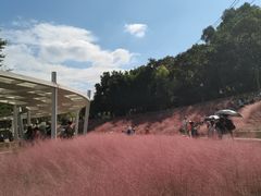 -牛岗山公园