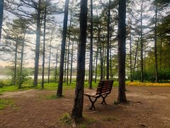 -长春市南湖公园