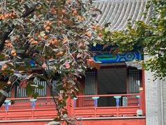 -北京石刻艺术博物馆(五塔寺)