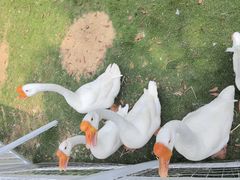 -宁波九龙湖开元度假村