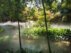 -厦门园林博览苑