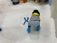 -Mr·Kuma酷么先生雪之乐园