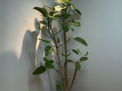 -争渡心理咨询全国连锁(福田店)