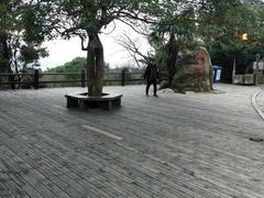 -普陀山风景区-佛顶山