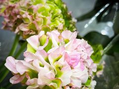 -L.C FLORA花予你(城西银泰城店)