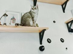 -隅cafe(傅厚岗店)