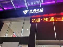 -中国电信(武林广场营业厅)