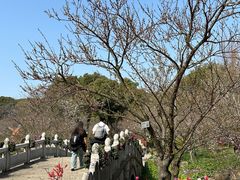 -苏州上方山国家森林公园