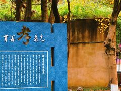 -孝子祠公园