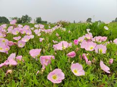 -良渚古城遗址公园