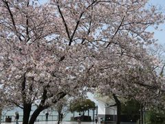-蠡湖大桥公园
