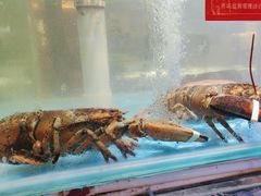 -四海蒸鲜蒸汽海鲜自助(北戴河店)