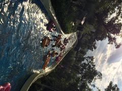 上海玛雅水公园-上海玛雅海滩水公园