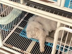-小时光咖啡馆(北锣鼓巷店)