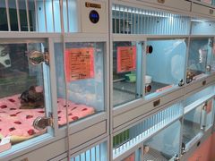 -FAELING PETS美天灵宠物(合生汇店)