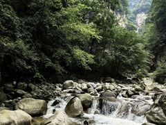 -陕西省红河谷森林公园