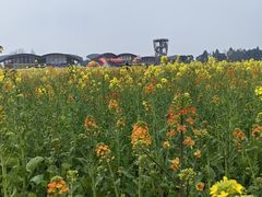 -中国天府农业博览园