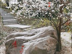-新洲生态园