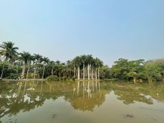 -中国科学院西双版纳热带植物园