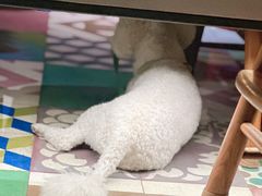-青桃餐厅