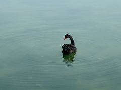 -上海月湖雕塑公园