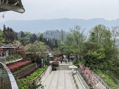 -碧峰峡风景区