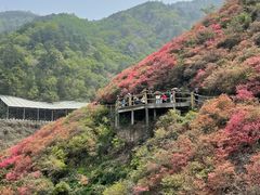 -木兰云雾山
