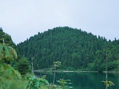 -武陵山森林公园