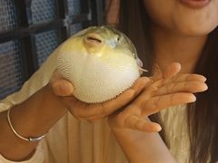 -永安鱼庄·镇江菜(丁卯店)