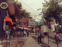 -猫咪博物馆(顶澳仔猫街店)