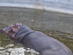 -济南野生动物世界