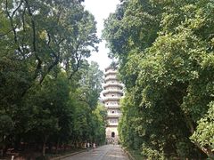 -灵谷景区