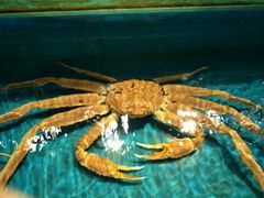 -学府海鲜批发市场