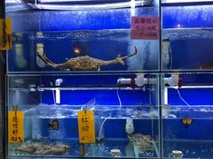 水产区-东国海鲜火锅城(氹仔店)