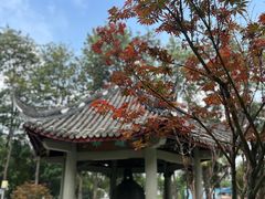 -四川大学(望江校区)
