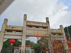 -三水森林公园
