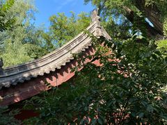 -晋祠公园